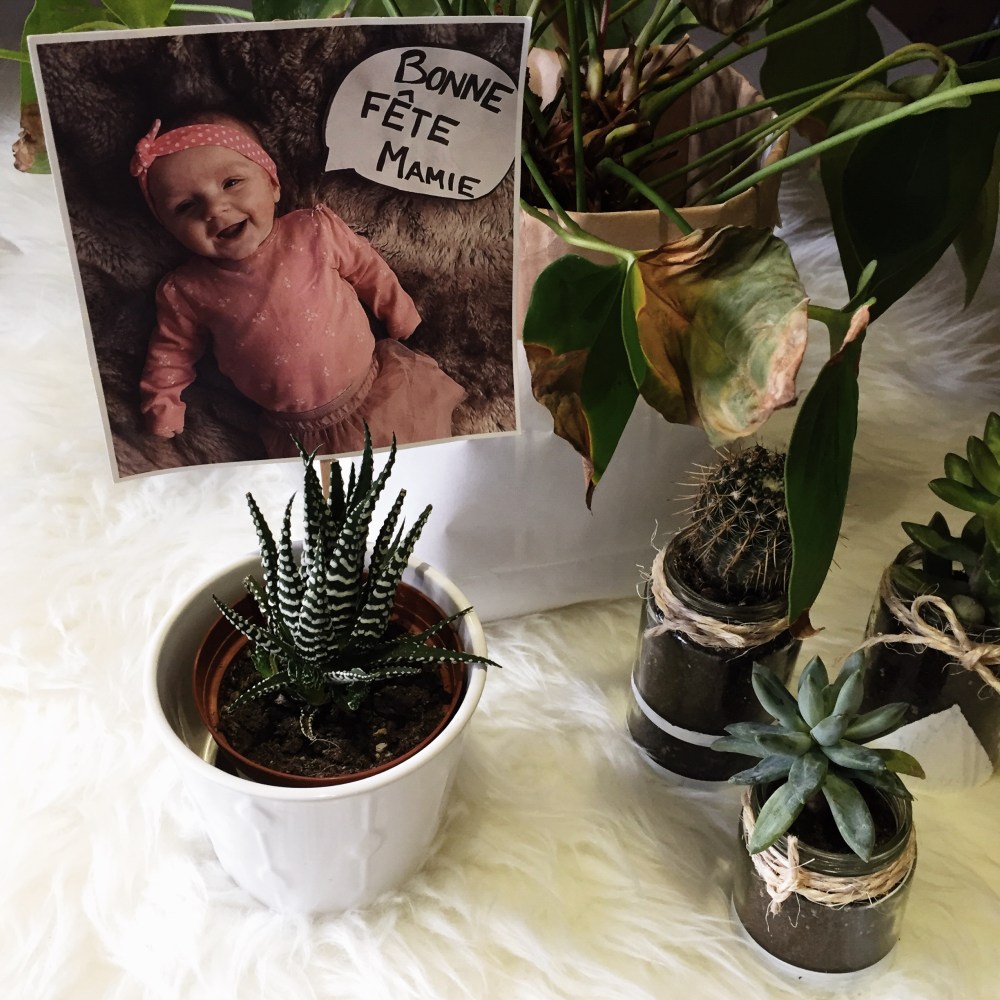 Processed with VSCO with s2 preset