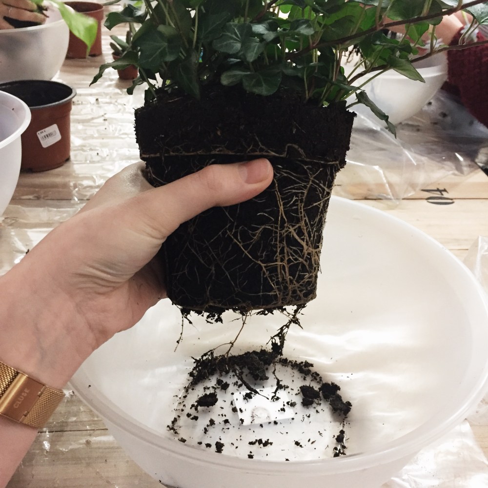 Processed with VSCO with s2 preset