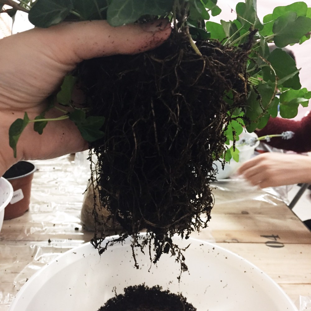 Processed with VSCO with s2 preset