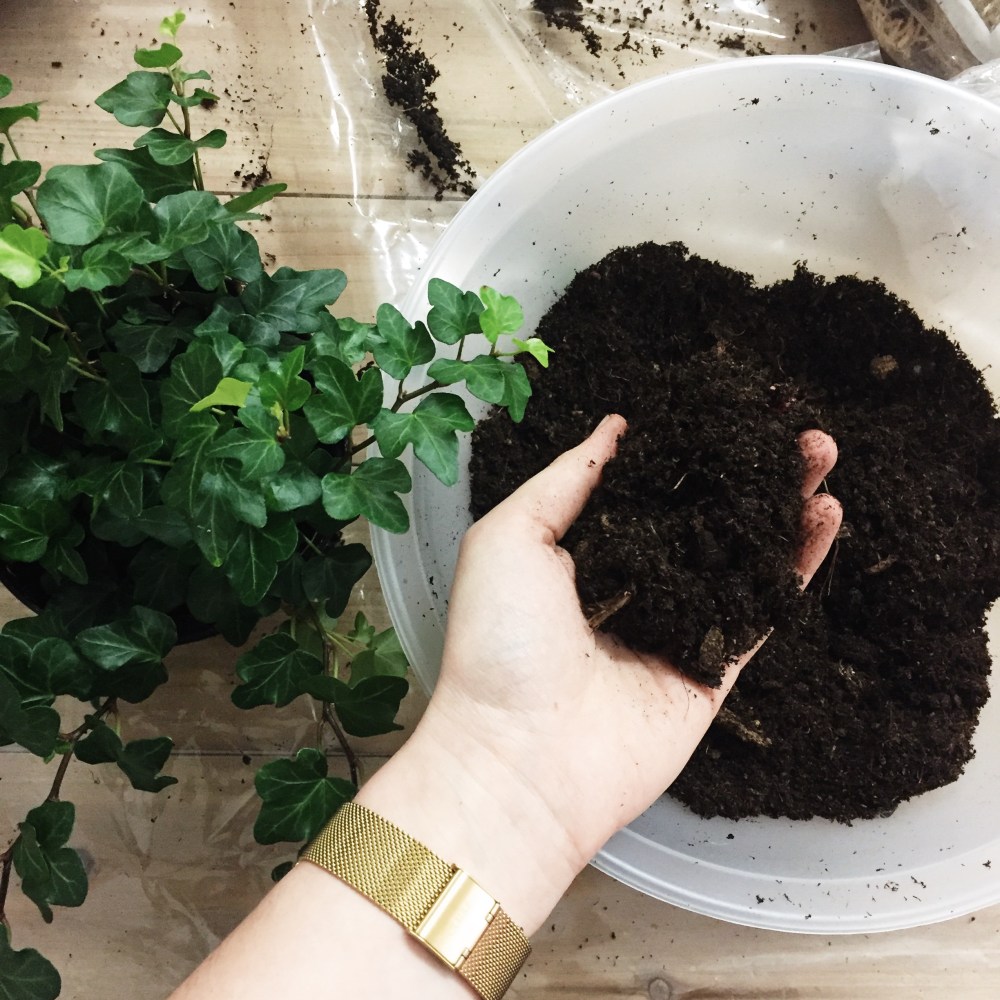 Processed with VSCO with s2 preset