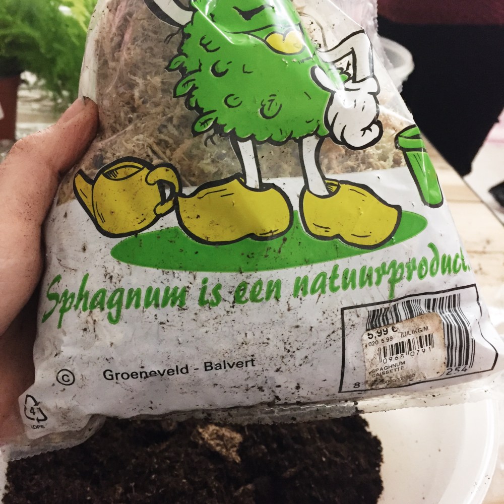 Processed with VSCO with s2 preset