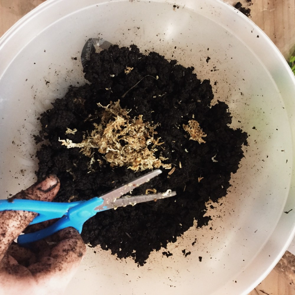 Processed with VSCO with s2 preset