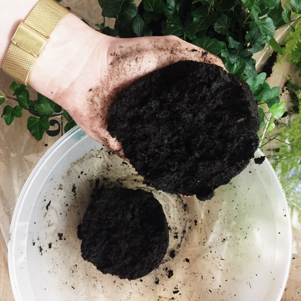 Processed with VSCO with s2 preset