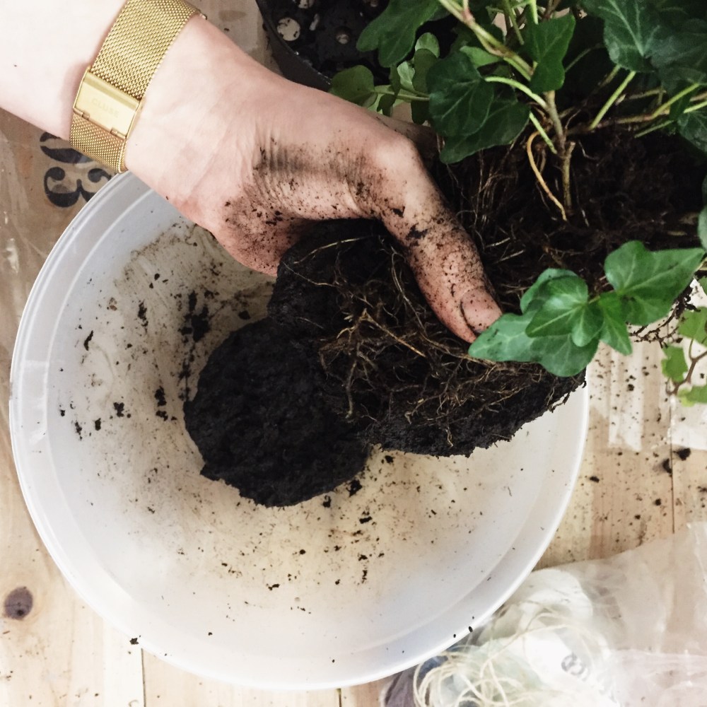 Processed with VSCO with s2 preset