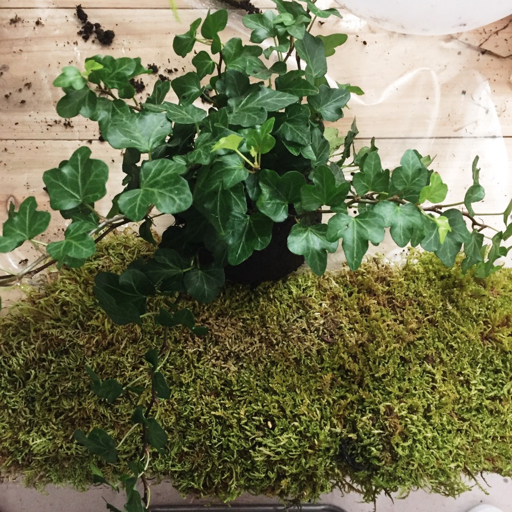 Processed with VSCO with s2 preset