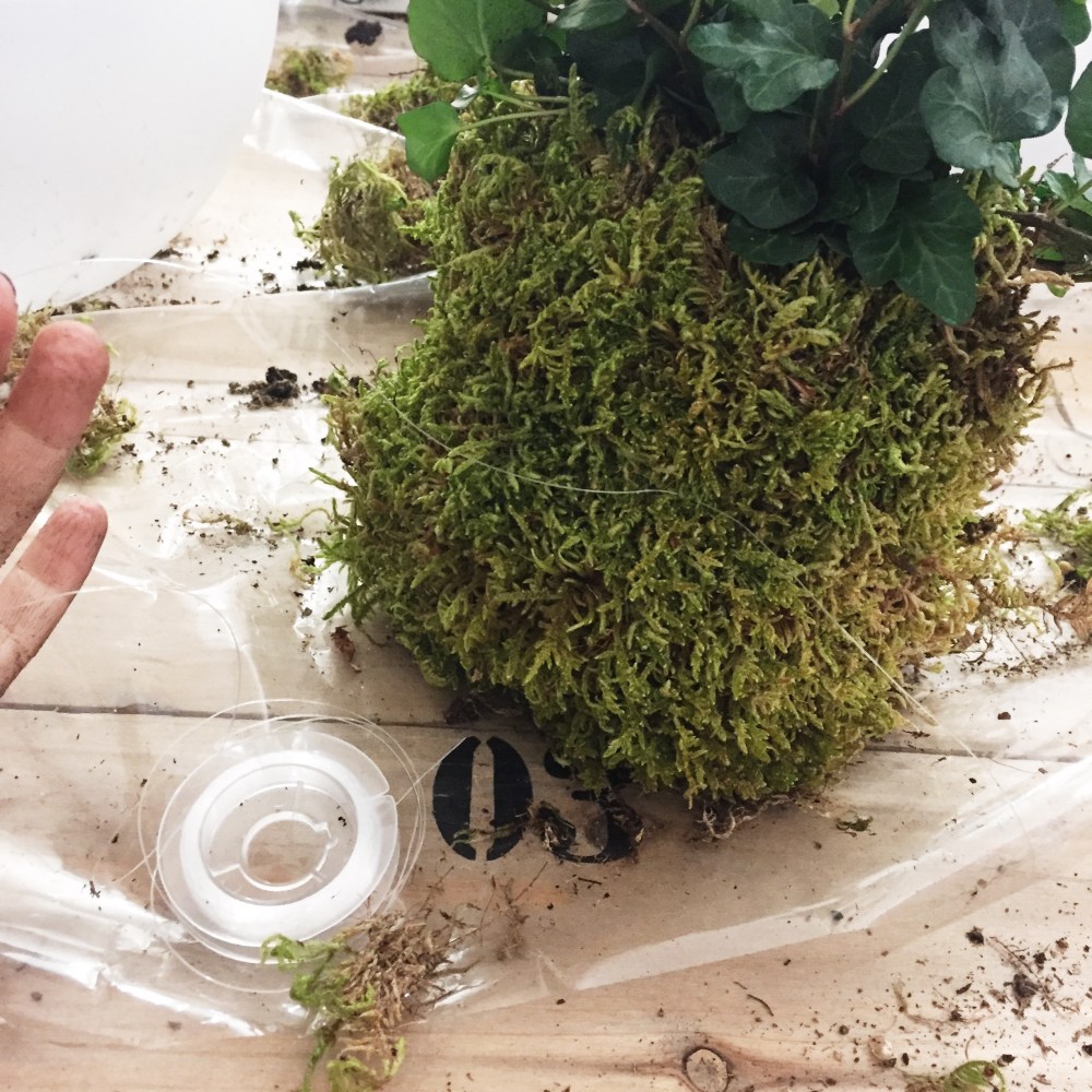 Processed with VSCO with s2 preset