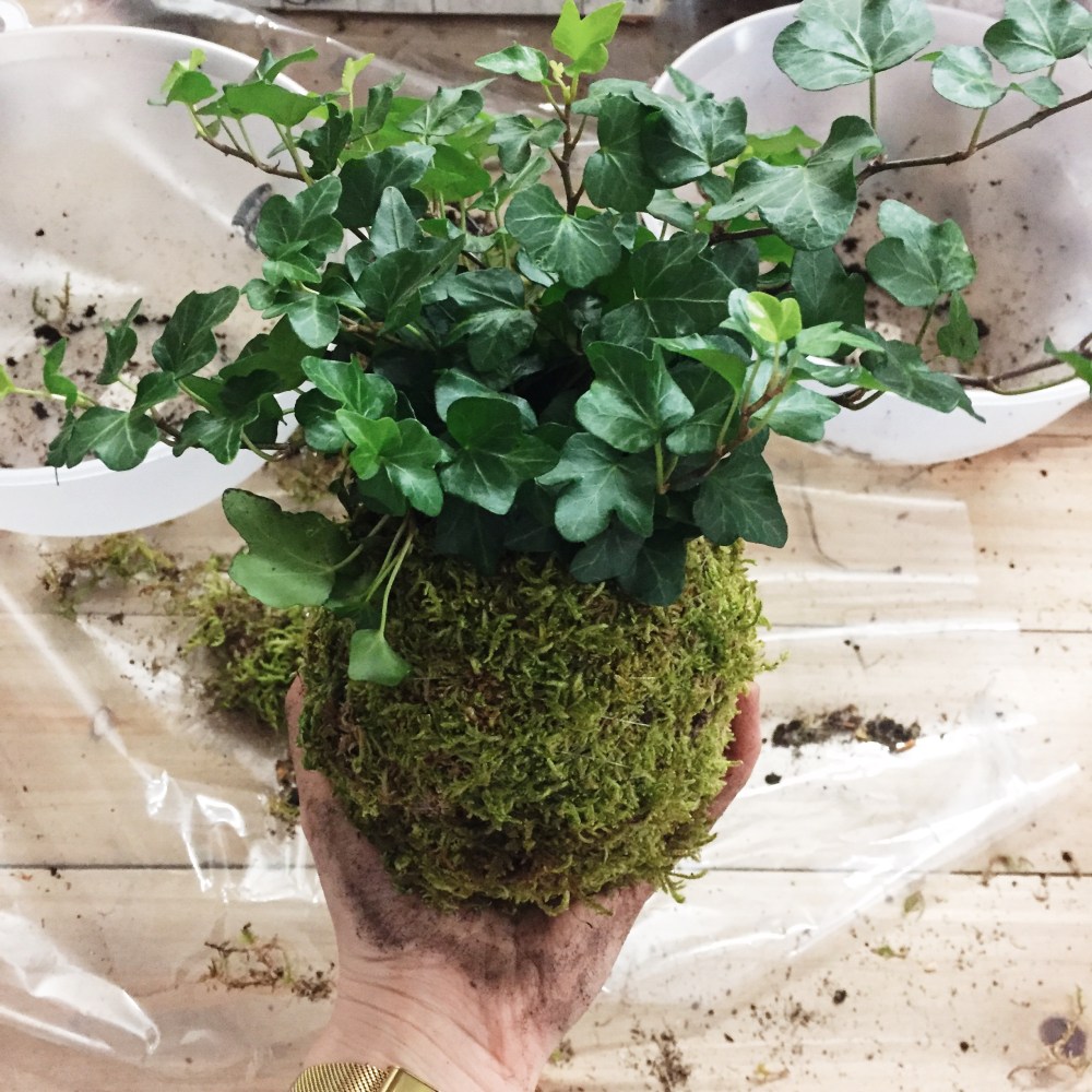 Processed with VSCO with s2 preset