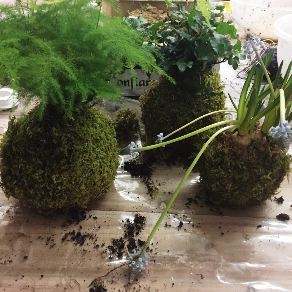 Processed with VSCO with s2 preset