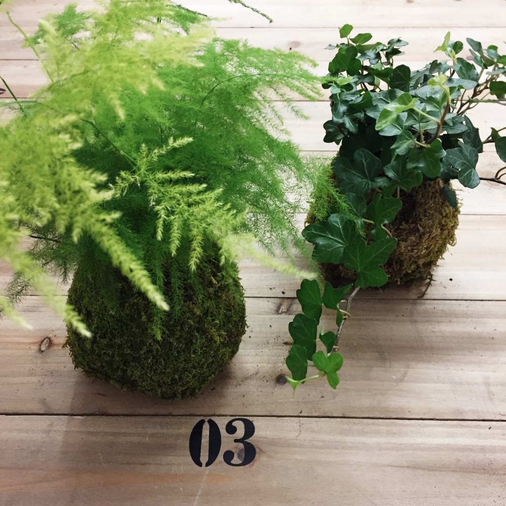 Processed with VSCO with s2 preset