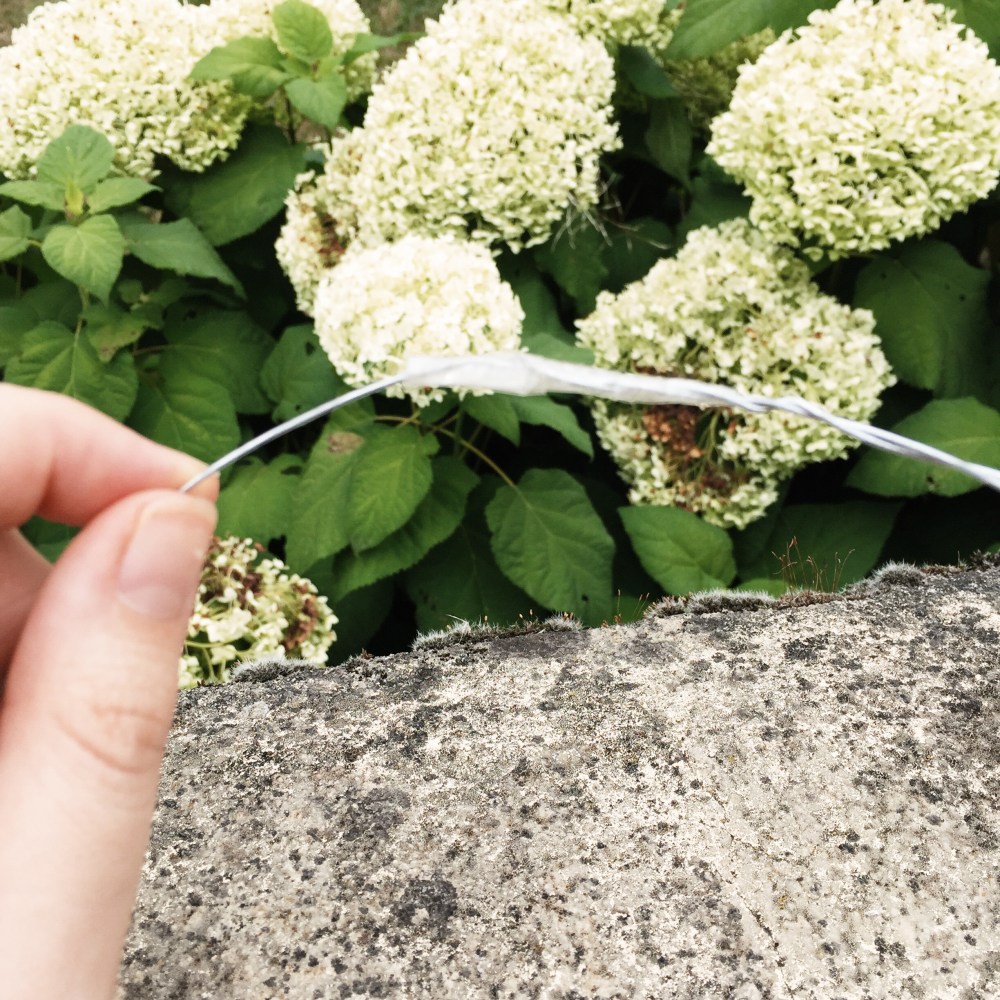 Processed with VSCO with s2 preset