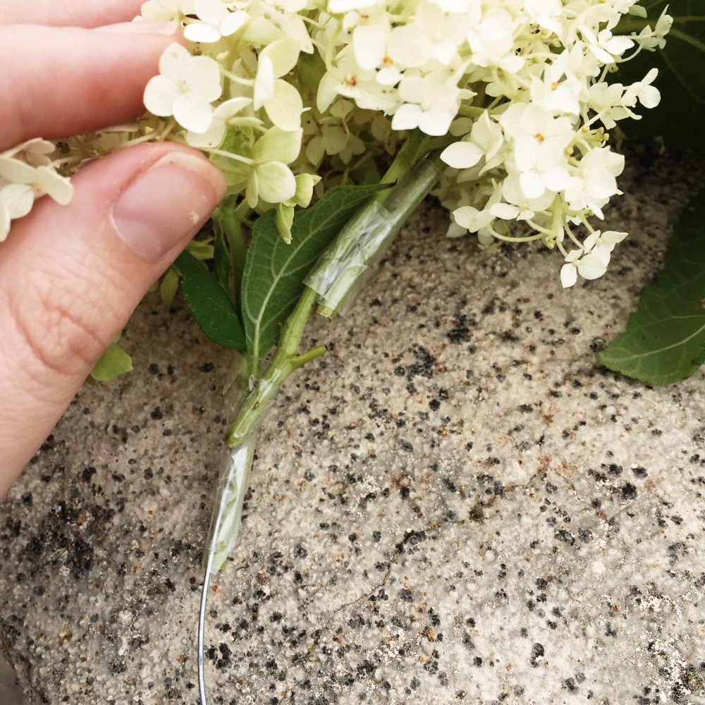 Processed with VSCO with s2 preset