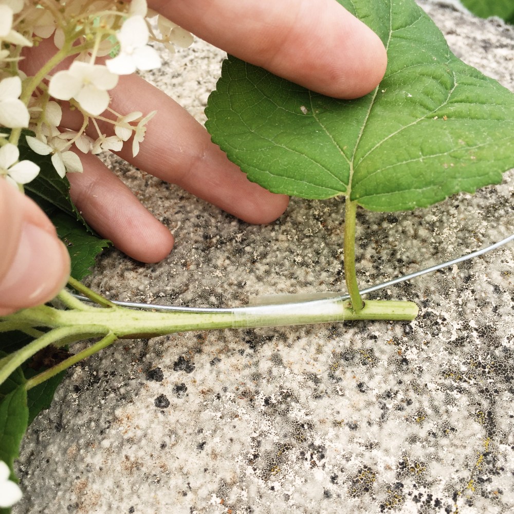 Processed with VSCO with s2 preset