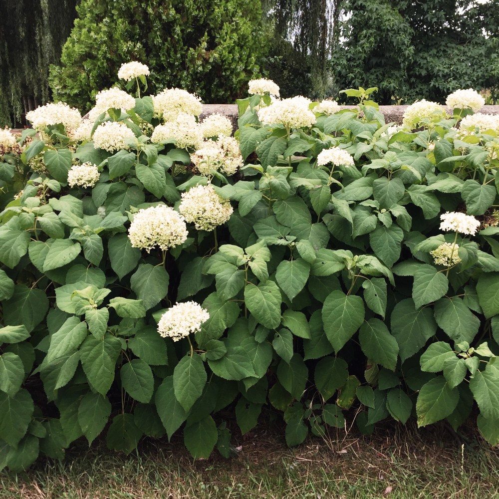 Processed with VSCO with s2 preset