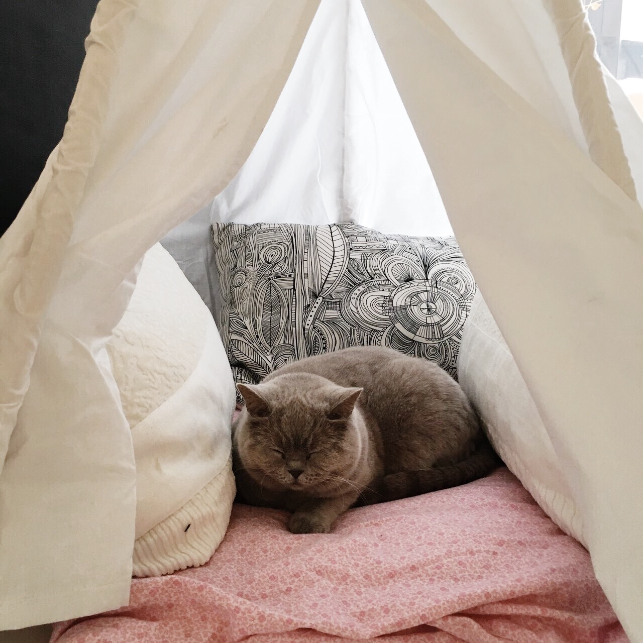 Processed with VSCO with s2 preset