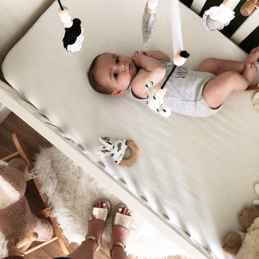 a81e1803-c789-41a0-b636-4f5b09a55222